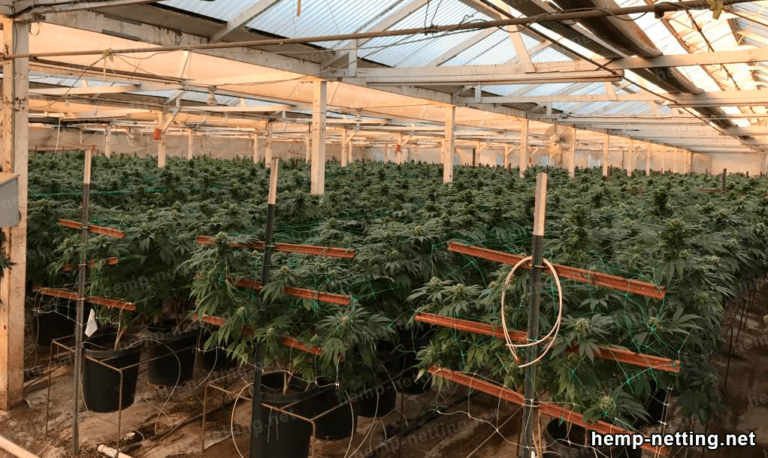 What is hemp netting? - Hemp Netting